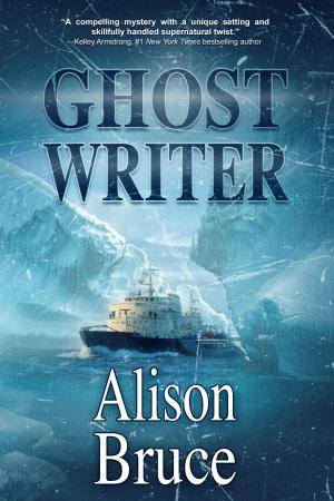 Cover of the book Ghost Writer by Vrushali Khedekar