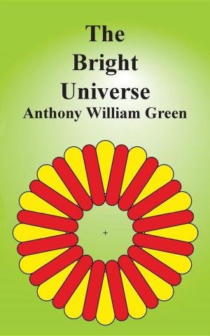 Book cover of The Bright Universe