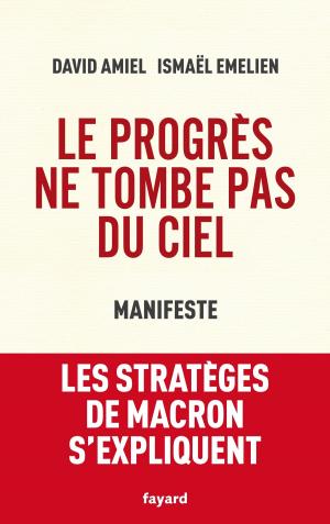 Cover of the book Le progrès ne tombe pas du ciel by Jacques Attali