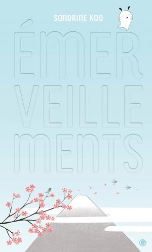 Cover of the book Emerveillements by Dominique Fernandez de l'Académie Française