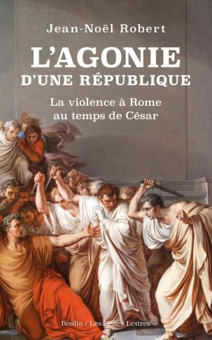 Cover of the book L’Agonie d’une République by Jean-Noël Robert
