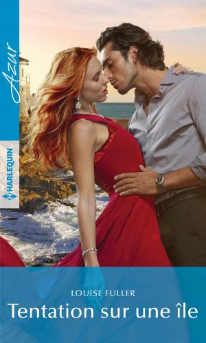 Cover of the book Tentation sur une île by RaeAnne Thayne