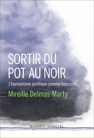 Book cover of Sortir du pot au noir