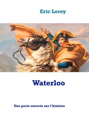 Cover of the book Waterloo by Andreas de Vries
