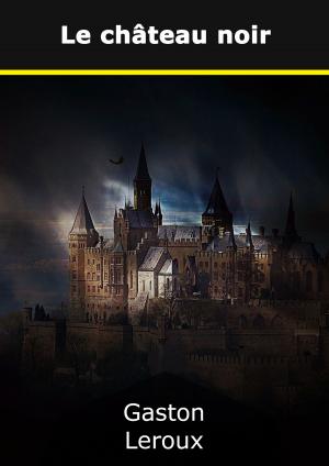 Cover of the book Le château noir by Joachim Schneider