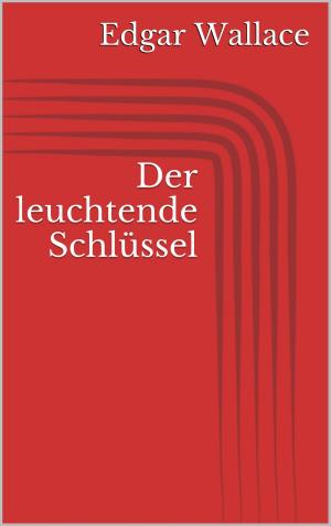 Book cover of Der leuchtende Schlüssel