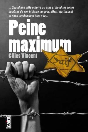 Cover of the book Peine maximum by Pierre Minvielle