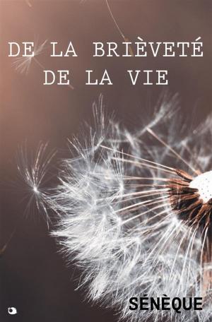 Cover of the book De la brièveté de la Vie by Platón