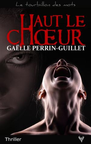 Book cover of Haut le choeur