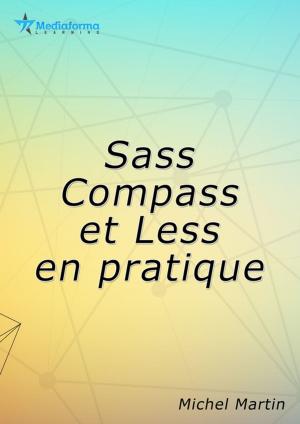 Cover of the book Sass, Compass et Less par la pratique by Laurent Gébeau