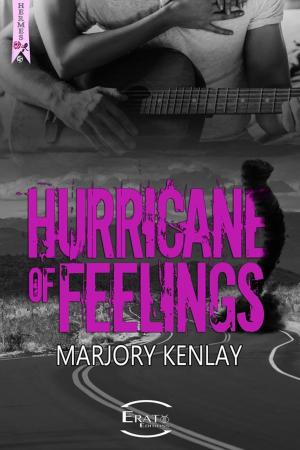 Cover of the book Hurricane Of Feeling by Jenna Ric'S