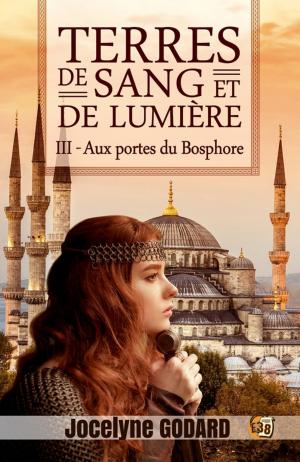 Cover of the book Aux portes du Bosphore by Nicolas Cluzeau
