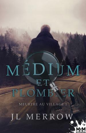 Cover of the book Meurtre au village by Maris Black