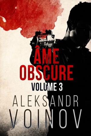 Cover of the book Âme obscure by KyAnn Waters