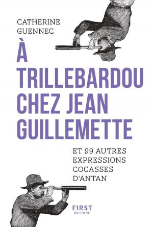 Cover of the book A trillebardou chez Jean Guillemette ! Et 99 expressions cocasses d'antan by Emmanuel PIERRAT