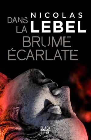 Cover of the book Dans la brume écarlate by Camille Lemonnier