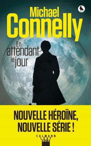 Cover of the book En attendant le jour by Agnès Abécassis