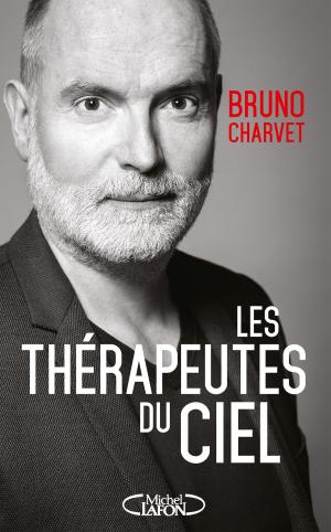 Cover of the book Les thérapeutes du ciel by Laetitia Milot