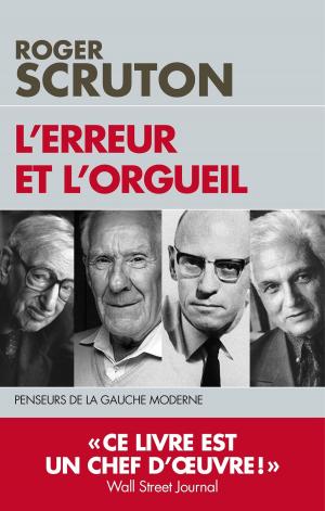 Cover of the book l'Erreur et l'orgueil by Ingrid Riocreux