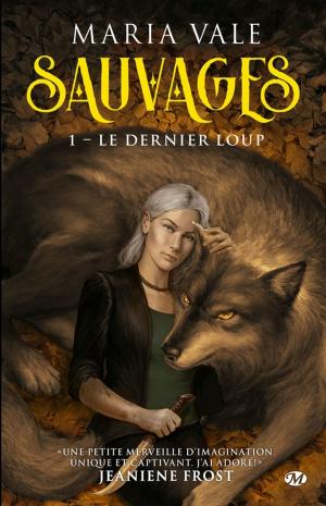 Cover of the book Le Dernier loup by Abigail Barnette