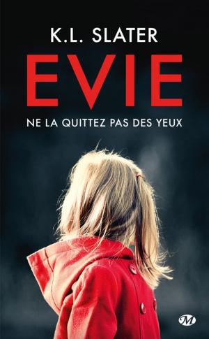 Cover of the book Evie by Linda Yellin