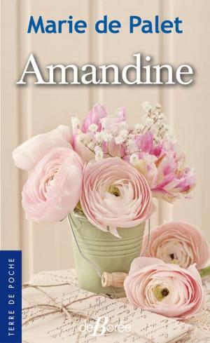 Cover of the book Amandine by Karine Lebert