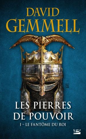 Cover of the book Le Fantôme du roi by Jérôme Camut