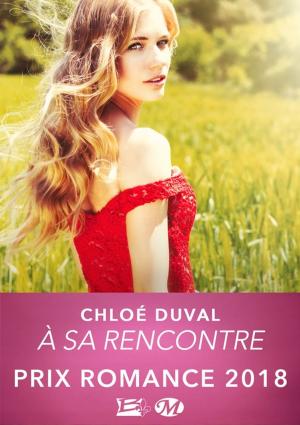 bigCover of the book À sa rencontre by 