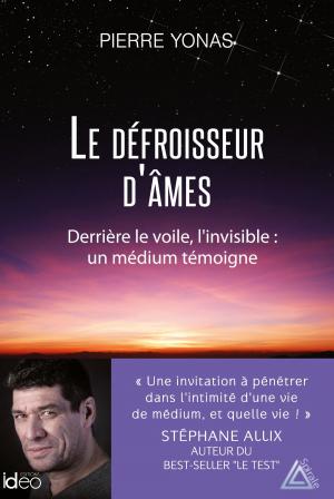 Cover of the book Le défroisseur d'âmes by Scott Teitsworth