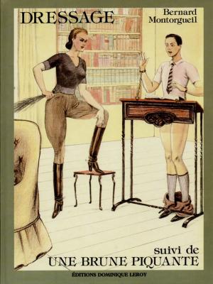 Cover of the book Dressage suivi de Une brune piquante by Lilou, P. Minette, Monsieur Noir, Palaume