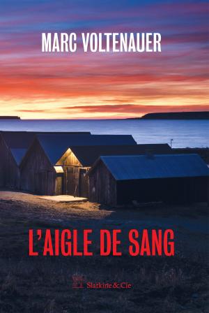 Cover of the book L'aigle de sang by Marc Voltenauer