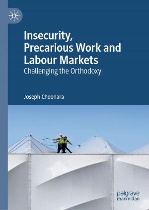 Cover of the book Insecurity, Precarious Work and Labour Markets by Vladimir F. Krapivin, Costas A. Varotsos, Vladimir Yu. Soldatov