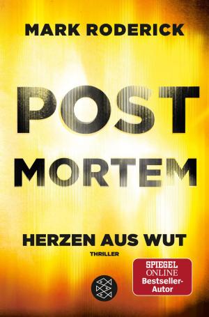Cover of the book Post Mortem- Herzen aus Wut by Jasper Ace