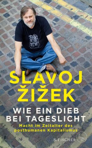 Cover of the book Wie ein Dieb bei Tageslicht by 