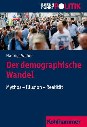 Cover of the book Der demographische Wandel by Wolfgang Stein