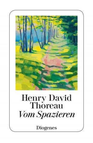 Cover of the book Vom Spazieren by Friedrich Dürrenmatt