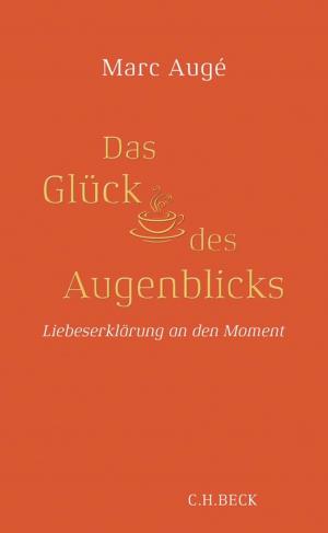 Cover of the book Das Glück des Augenblicks by Tonio Hölscher