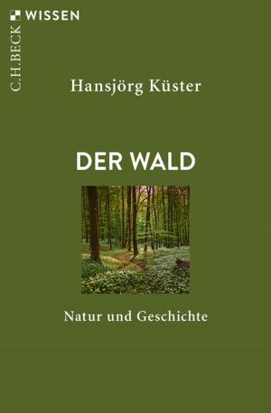 Cover of the book Der Wald by Jan Assmann