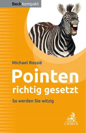 Cover of the book Pointen richtig gesetzt by Eli Friedlander
