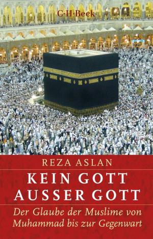 Cover of the book Kein Gott außer Gott by Norbert Hoerster