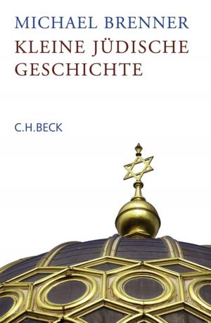 Cover of the book Kleine jüdische Geschichte by Wolfgang Schuller
