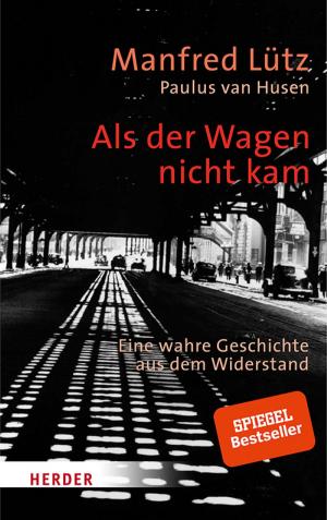 Cover of the book Als der Wagen nicht kam by Franz Kamphaus
