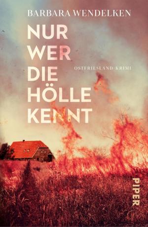 Cover of the book Nur wer die Hölle kennt by Lisa Regan