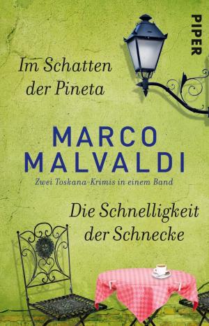 Cover of the book Im Schatten der Pineta / Die Schnelligkeit der Schnecke by Dorette Deutsch