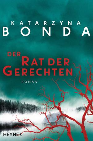 Cover of the book Der Rat der Gerechten by Ryan David Jahn