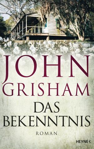 Cover of the book Das Bekenntnis by Paul Cleave