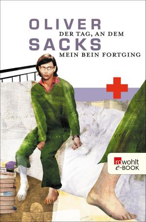 Cover of the book Der Tag, an dem mein Bein fortging by Holly-Jane Rahlens