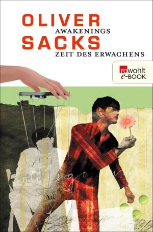 Cover of the book Awakenings - Zeit des Erwachens by Axel Krohn
