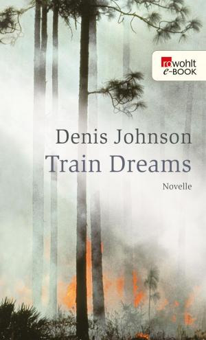 Cover of the book Train Dreams by Olle Lönnaeus