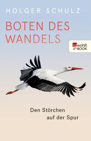 Book cover of Boten des Wandels